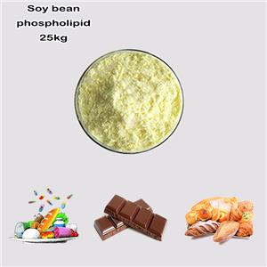 Soy bean phospholipid