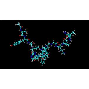 Cagrisema(Cagrilintide/semaglutide)