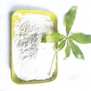 Teriparatide