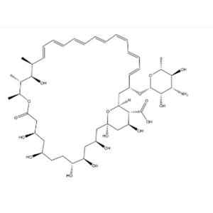Amphotericin B