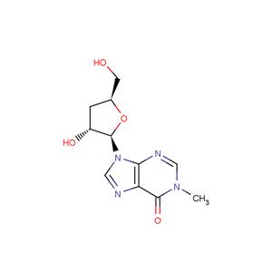 3'-Deoxy-N1-Methyl ? inosine