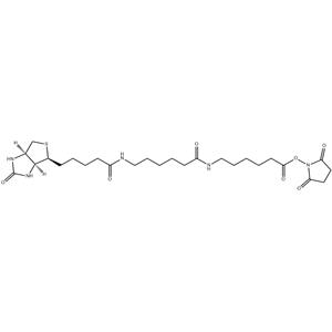 BIOTIN-XX-NHS