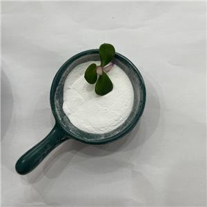 Alprostadil 20mg