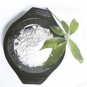 2-ISOBUTYL-3-METHYLPYRAZINE
