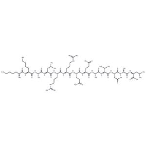 Autocamtide-2-related inhibitory peptide