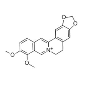 Berberine