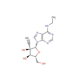 N6-Ethyl-2'-beta-C-ethynyl ? adenosine