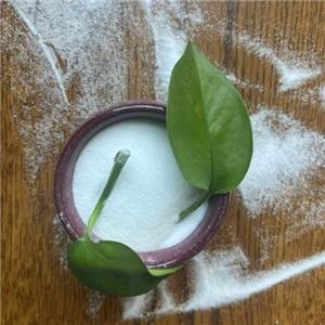 Tirzepatide WholeSale High Quality