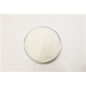Lipoic Acid