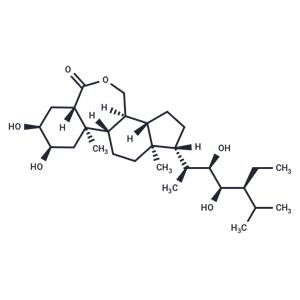 28-high brassinolide