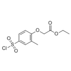 ETHYL [2-METHYL-3-(CHLOROSULFONYL)PHENOXY]ACETATE