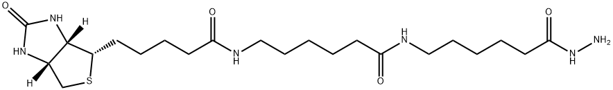 Biotin-XXhydrazide