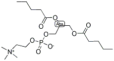 05:0 PC 结构式