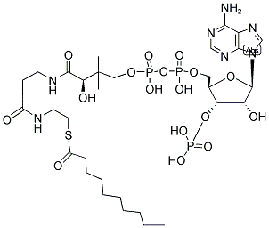 DECANOYL COENZYME A 结构式