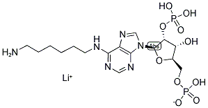 N6-(6-氨基己基)腺苷 2′,5′-二磷酸 锂盐 结构式