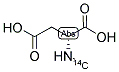 N-METHYL-D-ASPARTIC ACID, [METHYL-14C] 结构式