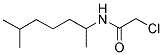 2-CHLORO-N-(1,5-DIMETHYLHEXYL)ACETAMIDE 结构式