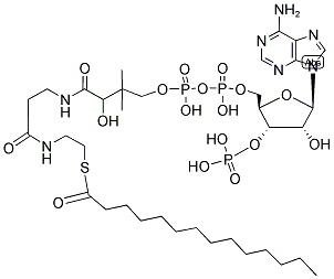 MYRISTOYL COENZYME A 结构式