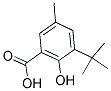 3-TERT-BUTYL-5-METHYLSALICYLIC ACID 结构式