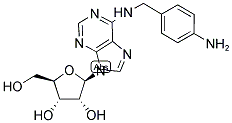 AMINOBENZYL ADENOSINE, N6-P-, [125I] 结构式