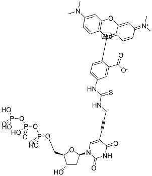 TETRAMETHYLRHODAMINE-6-DDUTP 结构式