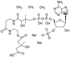 羟甲基戊二酸单酰辅酶A 结构式