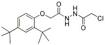 N'1-(2-CHLOROACETYL)-2-[2,4-DI(TERT-BUTYL)PHENOXY]ETHANOHYDRAZIDE 结构式