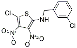 N2-(3-CHLOROBENZYL)-5-CHLORO-3,4-DINITROTHIOPHEN-2-AMINE 结构式