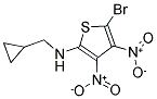 N2-CYCLOPROPYLMETHYL-5-BROMO-3,4-DINITROTHIOPHEN-2-AMINE 结构式