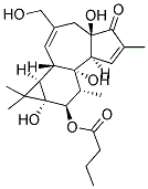 PHORBOL-12-BUTYRATE 结构式