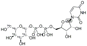 URIDINE DIPHOSPHATE GALACTOSE, [GALACTOSE-14C(U)] 结构式