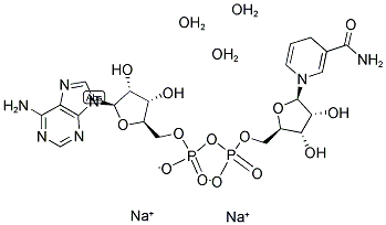 D-乳酸脱氢酶(D-LDH)ELISA试剂盒 结构式