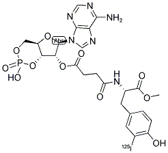 ADENOSINE 3',5'-CYCLIC PHOSPHORIC ACID 2'-O-SUCCINYL, [125I]-IODOTYROSINE METHYL ESTER 结构式