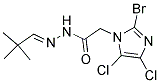 N'1-(2,2-Dimethylpropylidene)-2-(2-bromo-4,5-dichloro-1H-imidazol-1-yl)ethanohydrazide 结构式