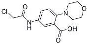 5-[(2-CHLOROACETYL)AMINO]-2-MORPHOLINOBENZOIC ACID 结构式