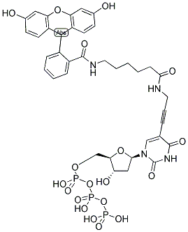 Fluorescein-12-dUTP