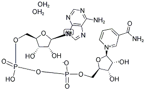 辅酶I(氧化型)(NAD)(COI) 结构式