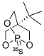 BUTYL BICYCLOPHOSPHOROTHIONATE TERTIARY-[35S]- 结构式