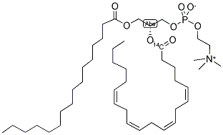 PHOSPHATIDYLCHOLINE, L-ALPHA-1-PALMITOYL-, 2-ARACHIDONYL, [ARACHIDONYL-1-14C] 结构式