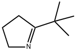 5-(TERT-BUTYL)-3,4-DIHYDRO-2H-PYRROLE 结构式