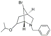 2-Benzyl-7-bromo-6-isopropoxy-2-azabicyclo[2.2.1]heptane 结构式