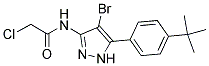 N1-(4-BROMO-5-[4-(TERT-BUTYL)PHENYL]-1H-PYRAZOL-3-YL)-2-CHLOROACETAMIDE 结构式