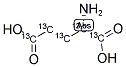 L-GLUTAMIC ACID-13C5 结构式