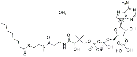 CAPRYLOYL COENZYME A MONOHYDRATE 结构式