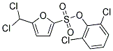 2,6-DICHLOROPHENYL 5-(DICHLOROMETHYL)FURAN-2-SULFONATE 结构式