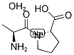 L-ALANYL-L-PROLINE HYDRATE 结构式