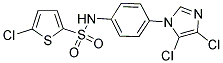 N2-[4-(4,5-DICHLORO-1H-IMIDAZOL-1-YL)PHENYL]-5-CHLOROTHIOPHENE-2-SULFONAMIDE 结构式