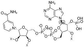 BETA-NICOTINAMIDE ADENINE DINUCLEOTIDE PHOSPHATE RESIN 结构式