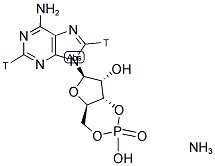 CYCLIC AMP, [2,8-3H], AMMONIUM SALT 结构式