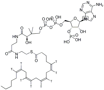 ARACHIDONYL COENZYME A, [ARACHIDONYL-5,6,8,9,11,12,14,15-3H(N)] 结构式